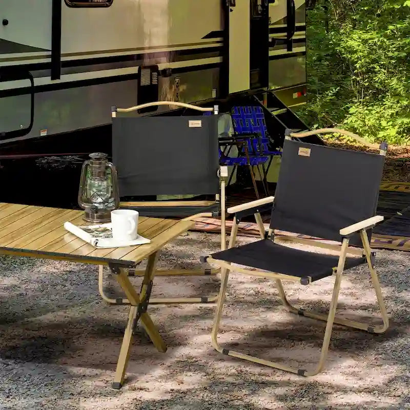 2 Pack Folding Camping Chair